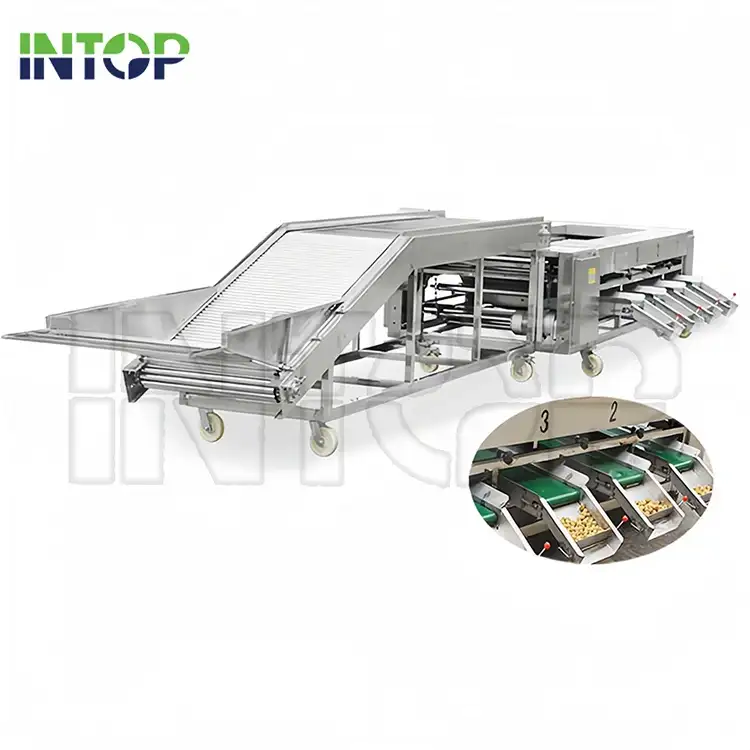 Automatic Fruit and Vegetable Sorting & Grading Machine