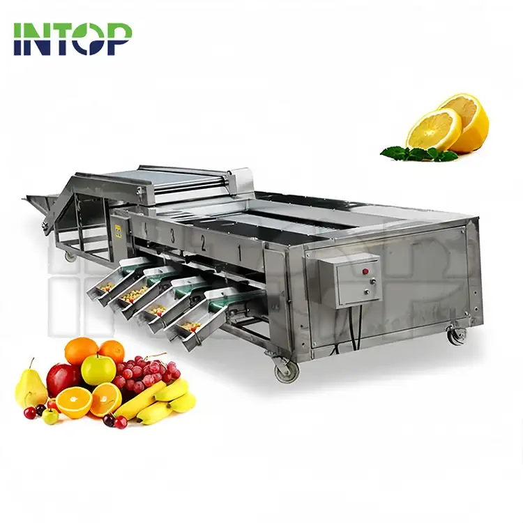 Industrial Fruit and Vegetable Pretreatment Equipment for Food Processing | Intop Machinery