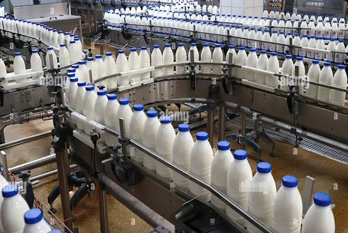 How to Configure a Dairy Production Line: Complete 2026 Guide