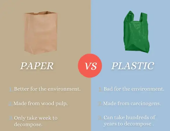 Paper Bags vs Plastic Bags: A Comparison of Durability and Cost